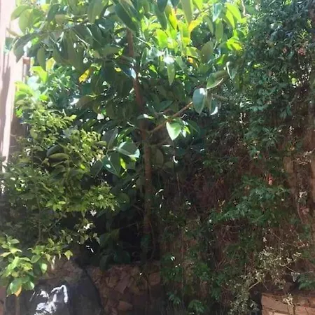 Appartement Isola Rossa - Incantu Trinità dʼAgultu